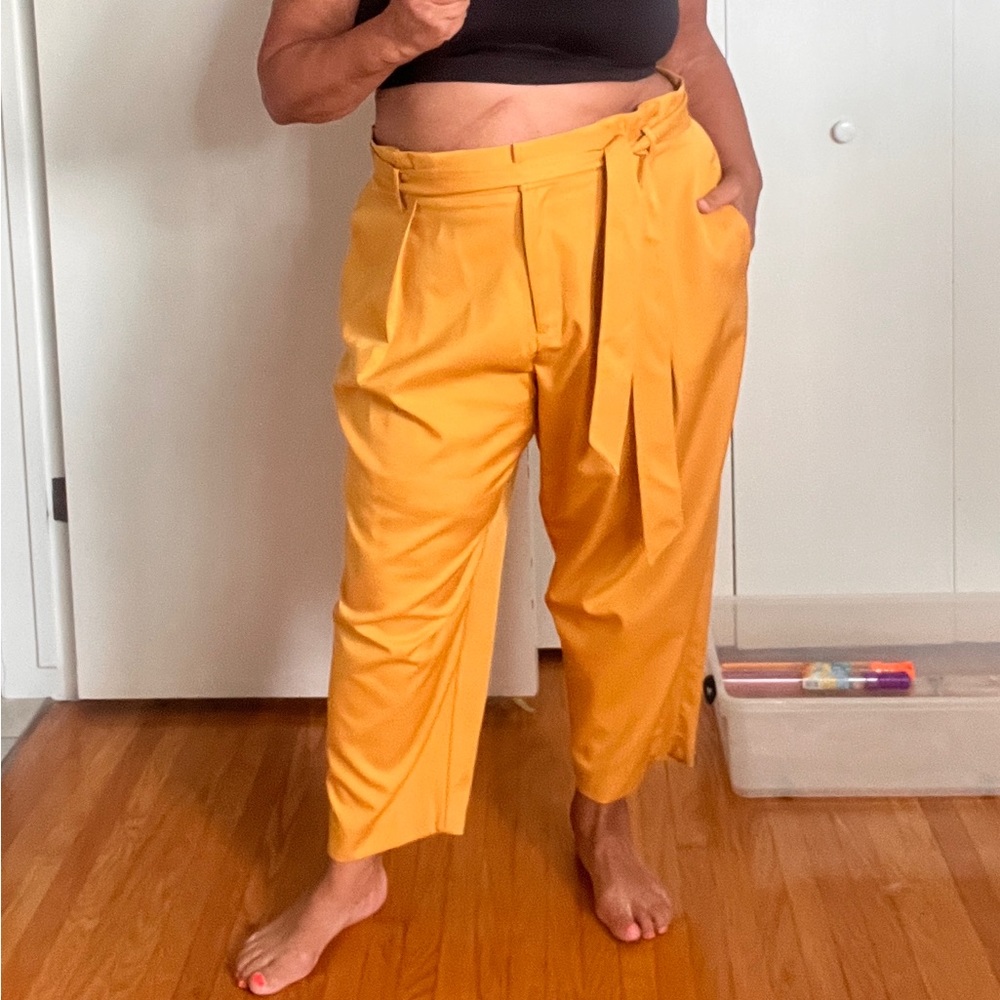 Eloquii size 22 paper bag waist pants